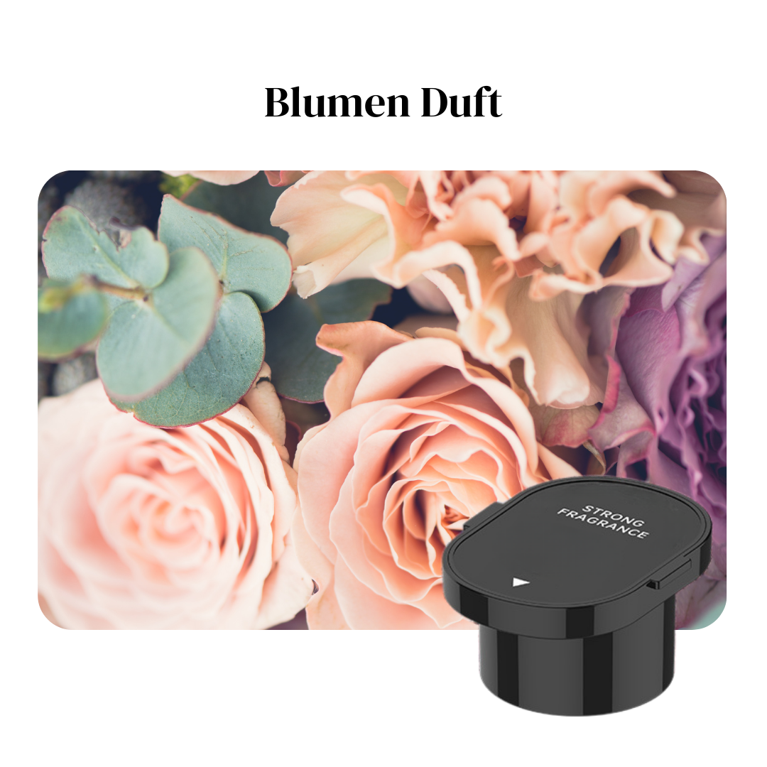 Düfte zum nachbestellen💨